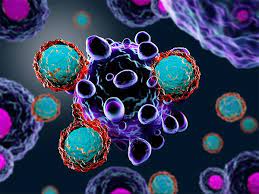 Genetics can determine how well immunotherapy for bladder cancer will work